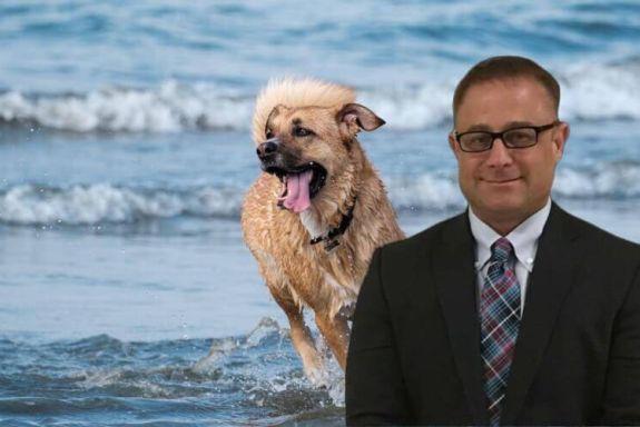 wp-content/uploads/2023/04/long-beach-dog-bite-lawyer.jpg