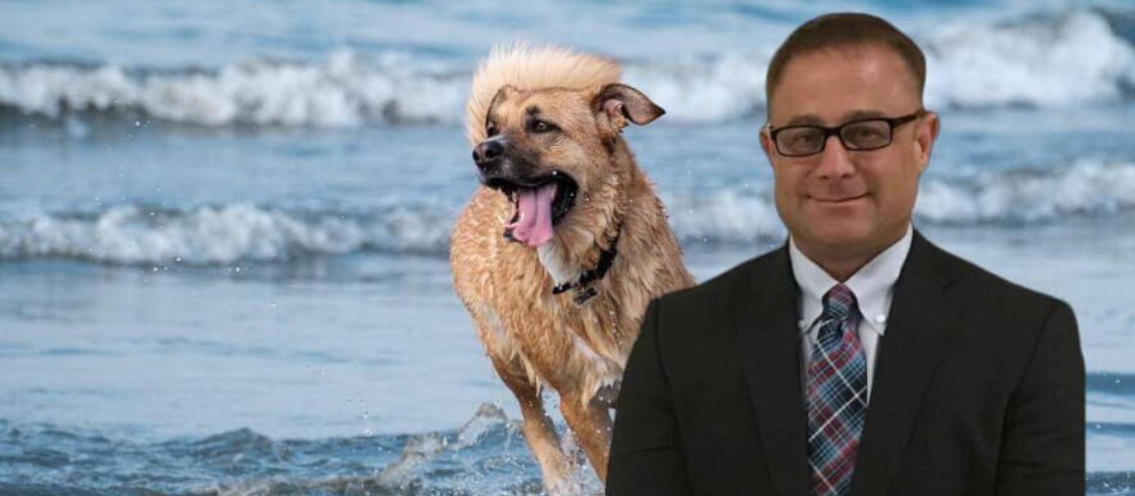 Long Beach Dog Bite Attorneys