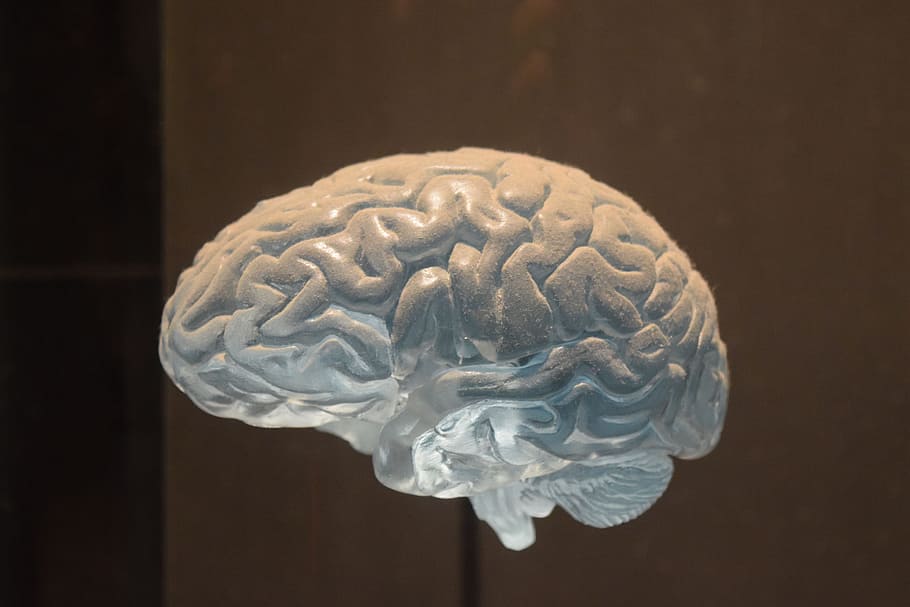 Photo of the human brain in action. Consider "Your Best Interests" | Brainwave Therapy and Healing