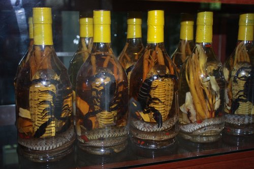 Bottled venom. Why Are Cancer and Brain Injury Patients Arguing For Scorpion Venom?