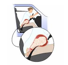cutaway image of woman driver with baby in belly