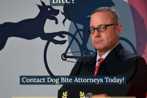 wp-content/uploads/contact-woodland-hills-dog-bite-attorney.jpg