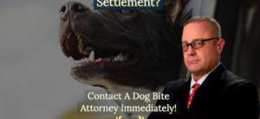Average Dog Bite Settlement