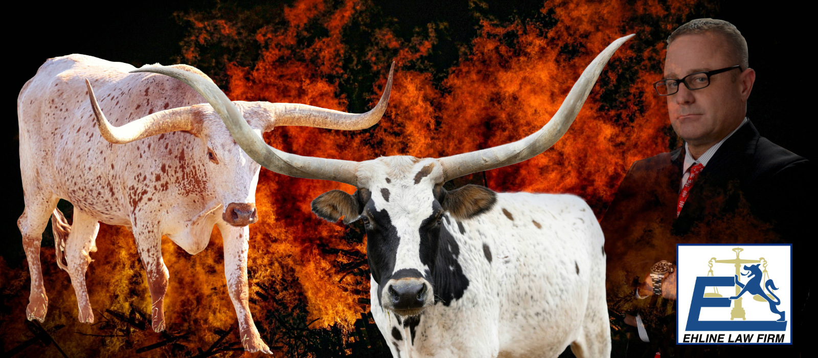 Texas Cattle Wildfire Attorneys