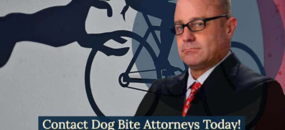 Contact award winning Torrance Dog Bite Lawyers