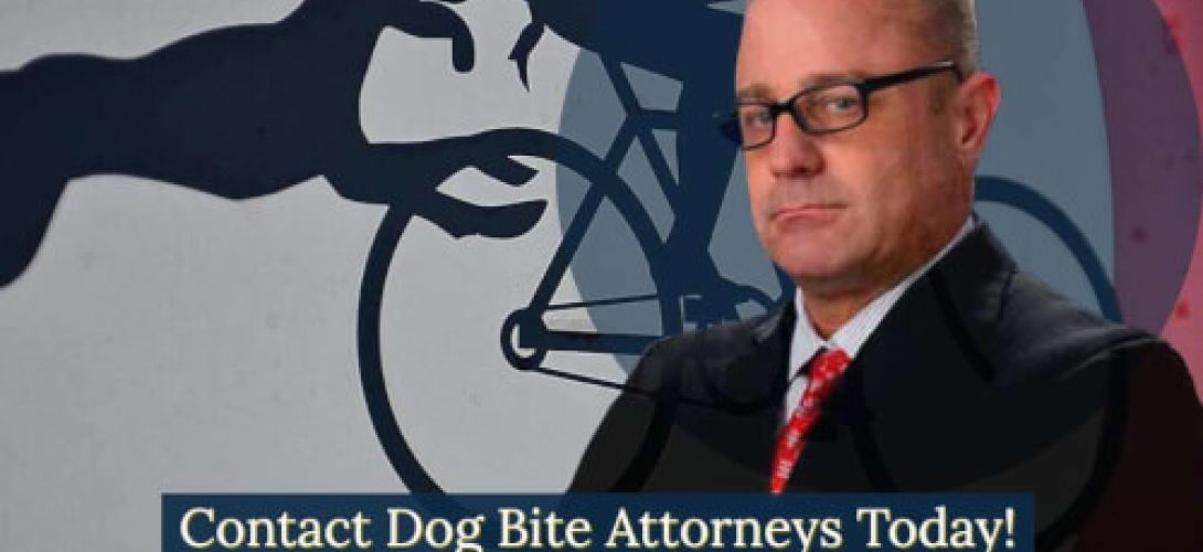L.A. County Dog Bite Lawyer