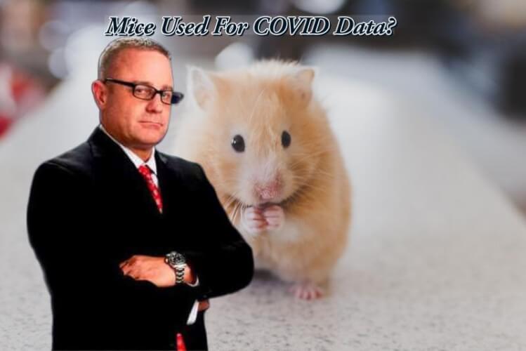 New Covid Vaccines Have Only Been Tested on Mice