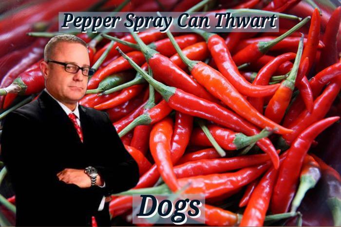 Pepper spray as an option against dogs