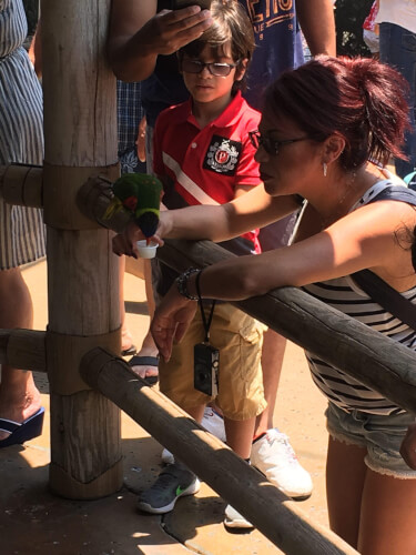 Parent with child at Long Beach bird sanctuary