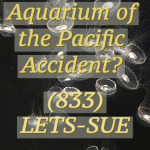 Contact a talented Aquarium of the Pacific Accident Law Firm Today (833) LETS-SUE