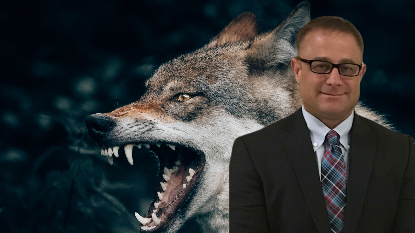 Los Angeles Manslaughter By Dog Lawyer Dog Bite Law