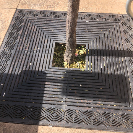 Tree grate in downtown Los Angeles.
