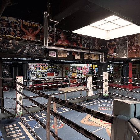 UFC gym concept