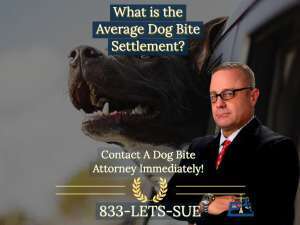 What is the Average Settlement for a California Dog Bite Claim?