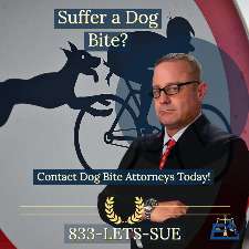 Texas Dog Bite Lawyers